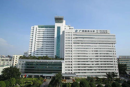 招133人 有編制 廣西醫(yī)科大學(xué)第一附屬醫(yī)院招聘火熱來襲