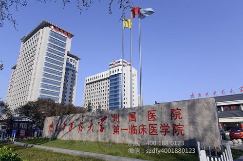 董博絲路行 在移動的 路邊診室 ,感受博大精深的中醫針灸
