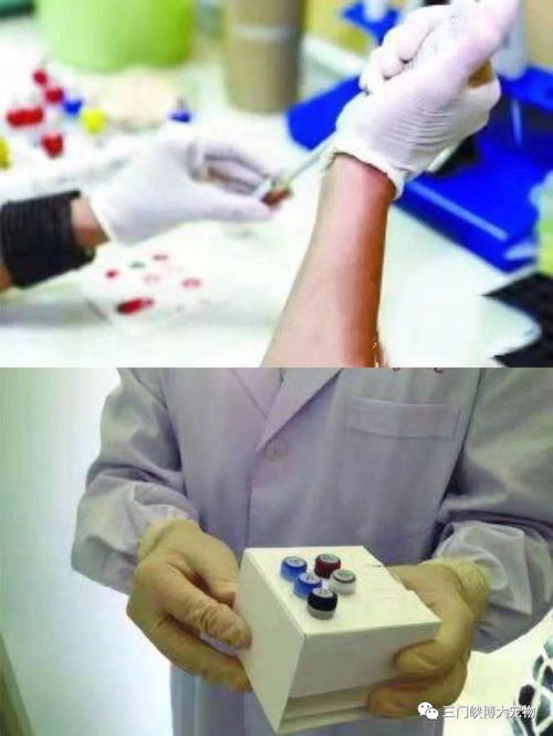 三門峽博大寵物醫(yī)院簡介