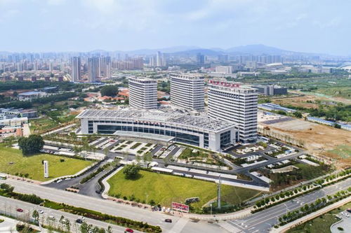 奮斗百年路 啟航新征程 煙臺影像志 鳳凰山下樹典范 黃海之濱耀明珠